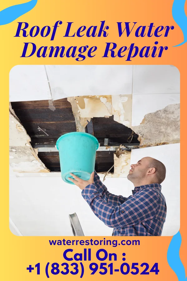 Roof Leak Water Damage Repair in Wiggins, MS